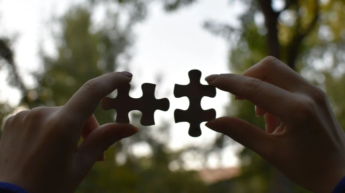 integration represented by two pieces of puzzle